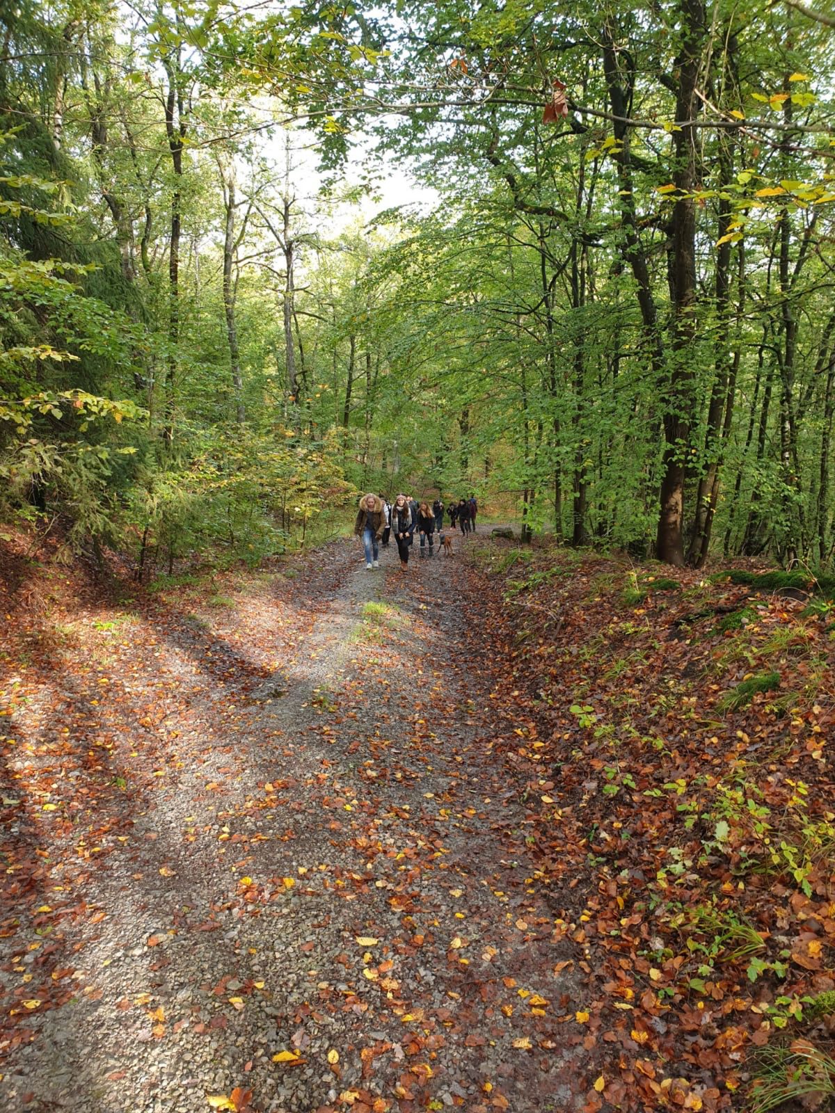 Das Team von Bermüller+Niemeyer Architekturwerkstatt auf Wandertour in der Windsheimer Bucht.